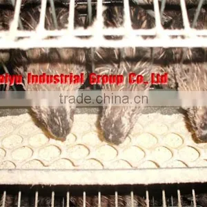 TAIYU Poultry Cages Quails thumbnail-1