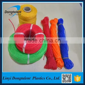 PE Twine Exported to Africa Market thumbnail-4