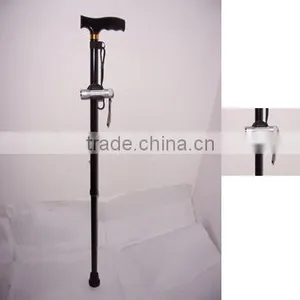 Walking Stick thumbnail-1