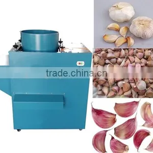 Easy Operation Garlic Separator Machinery/garlic Clove Separating Machine Good Selling thumbnail-1