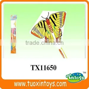 Sport China Airplane Power Kite Surf thumbnail-3