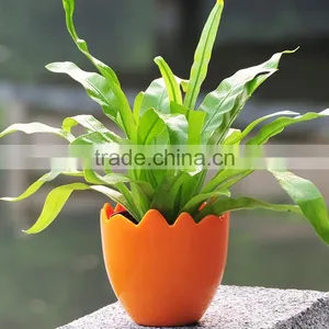 Attractive Colorized Eggshell Shape Plastic Flower Pot thumbnail-1