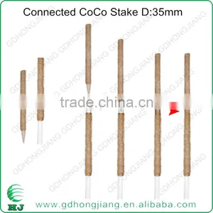 Coir Stake for Climbing Plant Support thumbnail-4