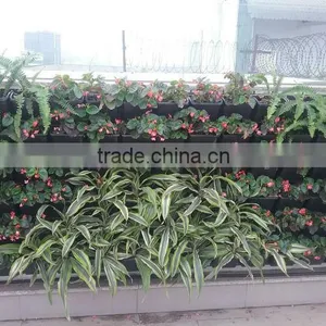 Vertical Garden Wall thumbnail-1