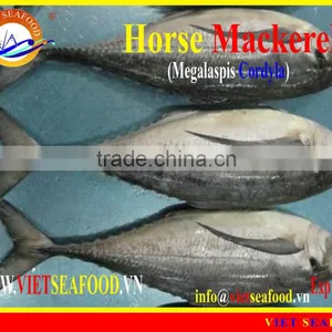 FROZEN W/R HORSE MACKEREL thumbnail-4