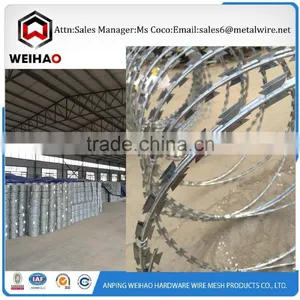 Whatsapp 008613731361119 Selling Good Price and Quality Razor Barbed Wire Razor Wire thumbnail-1