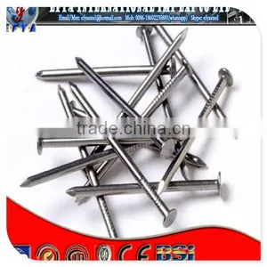 Electro Galvanized Common Nails thumbnail-1