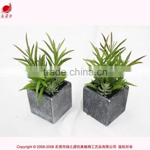 Cheap Wholesales Fake Bonsai.artificial Mini Bonsai for Home Decoration thumbnail-4