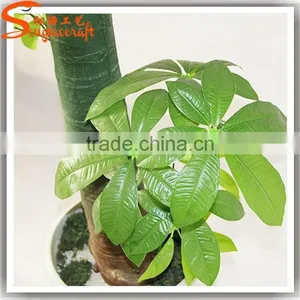 Realistic Mini Bonsai Tree Bonsai Plants for Sale thumbnail-6