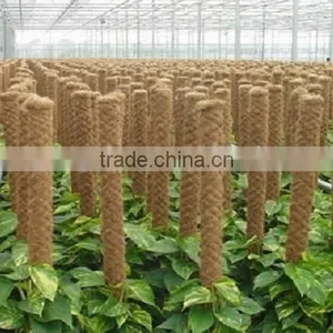 Coconut Pole for Plants & Flowers & PVC Bamboo Pole for Decorative thumbnail-1