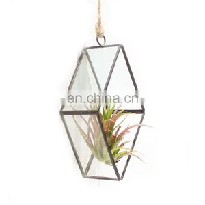 Terrarium Geometric Glass Terrarium Wholesale Rhombus With Ring thumbnail-3