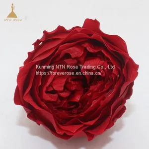 Preserved Fresh Austin Rose Flower Gift Arrangement thumbnail-1