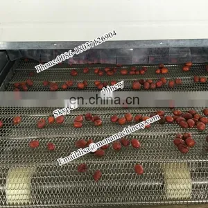 Factory Price Continuous Conveyer Belt Dryer/ Belt Chain Dryer / Chain Dryer thumbnail-2