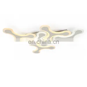 Ceiling Light LED Living Room Lamp Factory Direct Sales Lamp Indoor Lighting Restaurant Lamp Personality Bedroom Light thumbnail-1