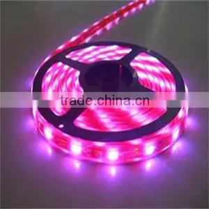 Waterproof Flexible Color Changing Flexible 12 Volt Best Flex Price Led Neon Strip thumbnail-4