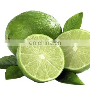 Organic Green Fresh Lemon Exported thumbnail-1