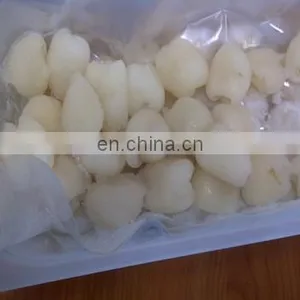 FROZEN RAMBUTAN FRUIT PREMIUM QUALITY VIETNAM thumbnail-2
