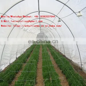 60 Insect Mesh Transparent Color Plastic Anti Insect Netting to Cover Greenhouse Plants thumbnail-5