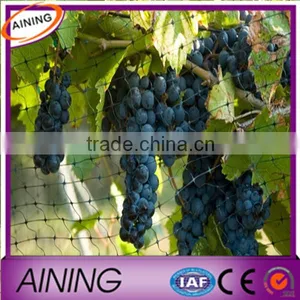 Factory Supply High Quality Light Weight Plastic Netting/poly Mesh Rolls/bird Barrier Netting thumbnail-3