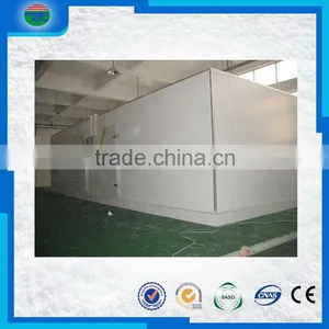 Competitive Price Latest Movable Cold Room/cold Storage for Fish thumbnail-3