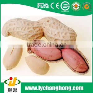 Roasted Peanut in Shell Good Taste 9/11 Nature Flavor thumbnail-1