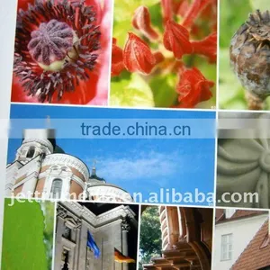 105G Single-sided Cast-coated Matte Photo Paper thumbnail-1