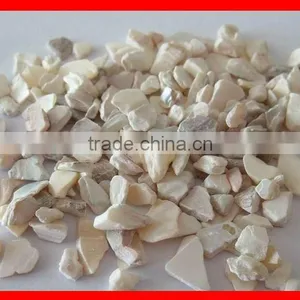 Crushed Sea Shell thumbnail-1
