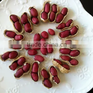 Peanut thumbnail-4