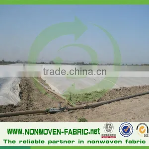 Low Price Spunbonded Nonwoven Fabric for Agricultural Cover thumbnail-3