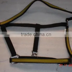 Horse Halter thumbnail-1