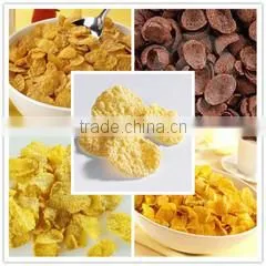 Automatic Wholesome Breakfast Cereal-Corn Flakes Production Line thumbnail-2
