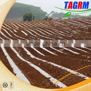 Labor Intensity Reducing Sugarcane Machine of 2 Rows Seed Sugarcane Planting Machine for Wholesale thumbnail-5