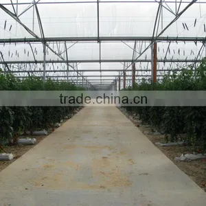 H2h Hydroponic Systems and Greenhouses thumbnail-5