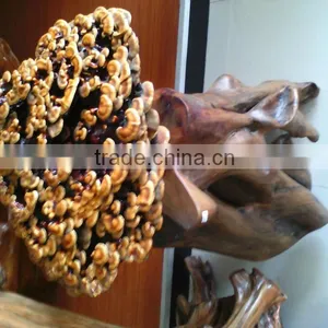 Natural LingZhi From Own Farm;For Show in Office;Home; Organic Lingzhi;Ganodema Iucidum thumbnail-1