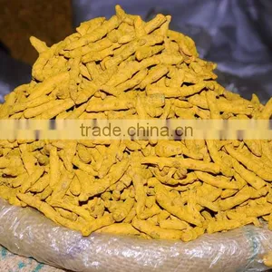 Double Polished Turmeric Fingers thumbnail-4