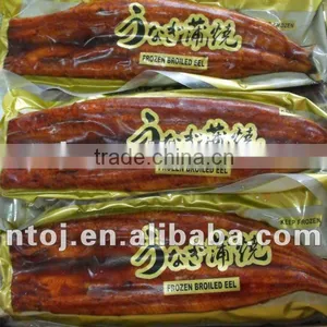 Fcatory Directly Supply13oz Frozen Roasted Eel thumbnail-1