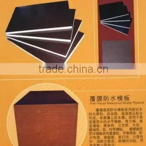 Film Faced Plywood thumbnail-1