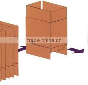 Dropdown Carton Packer Case Packing Machine High Speed Pick and Pack thumbnail-3