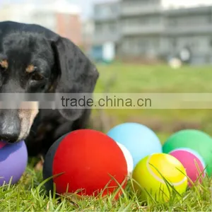 Wholesale Solid Pet Ball thumbnail-4