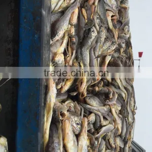 Marine Fresh Seafood Fish Yellow Croaker thumbnail-3