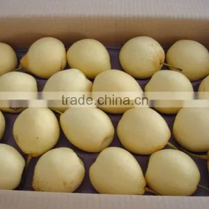 New Crop of China Fresh ya Pear for Hot Sale thumbnail-2