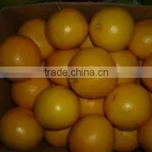 Fresh Grape Fruit thumbnail-1