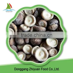 Frozen Shiitake Mushroom IQF Shiitake Mushrooms thumbnail-3