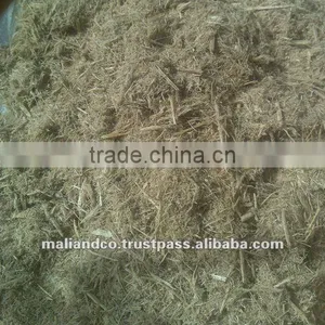 Bagasse thumbnail-1
