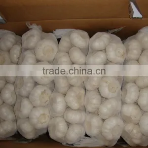 YUYUAN Brand Hot Sail Fresh Garlic Dehydrated Garlic Price thumbnail-1