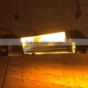 Gavita Style Double End Light/Open Style Indoor Light thumbnail-1