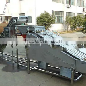 Pilchard Grading Machine, thumbnail-1