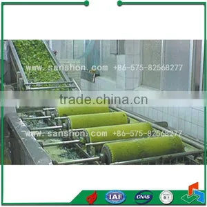 Vegetable Bubble Washing Leafy Vegetable Washing Machine thumbnail-4