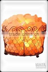 Victoria_netting_8 thumbnail-1