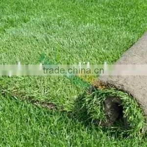 Hot Sale Sport Turfed Artificial Field Grass thumbnail-2